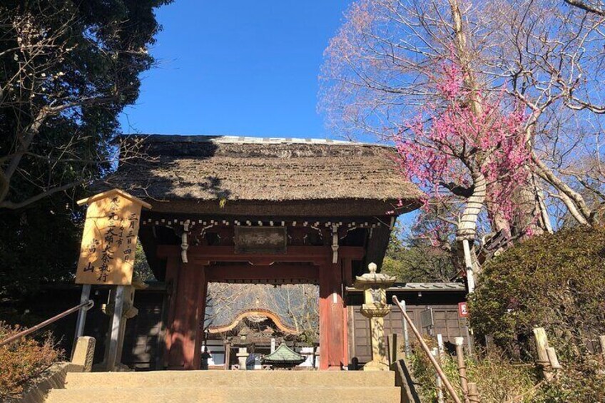 Entrance of Historical Jindai Temple