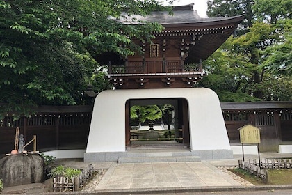 Ancient Shrine and Temple Tour in Tokyo's Tama area with food