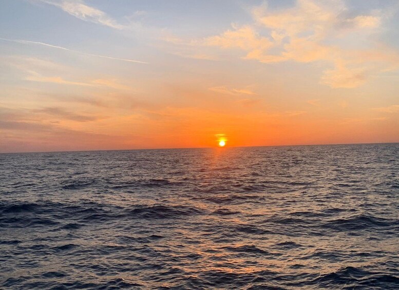 Picture 6 for Activity Departure from BRUSC sunset on sailing catamaran