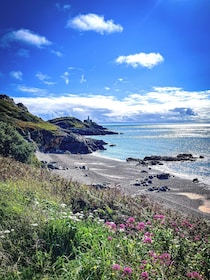 From Cardiff: Beautiful Golden Gower Full-Day Private Tour