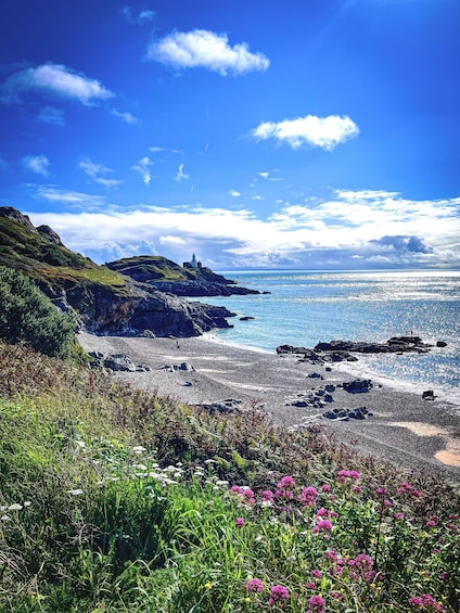 From Cardiff: Beautiful Golden Gower Full-Day Private Tour