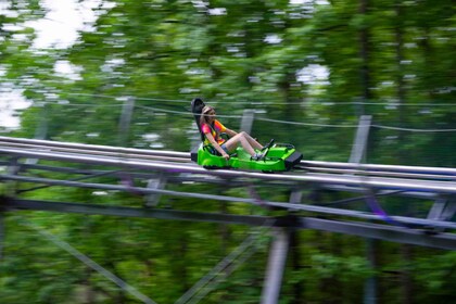 Gatlinburg Moonshine Mountain Coaster Ride