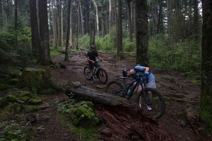 Mexico City: Bike Ride in the Lions Desert