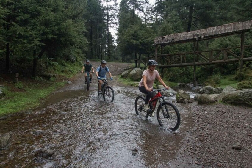 Picture 3 for Activity Mexico City: Bike Ride in the Lions Desert