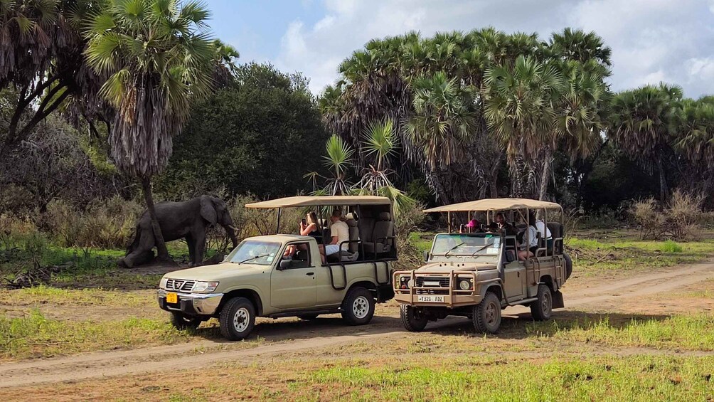 Picture 3 for Activity From Zanzibar: Day Safari to Selous Game Reserve with flight