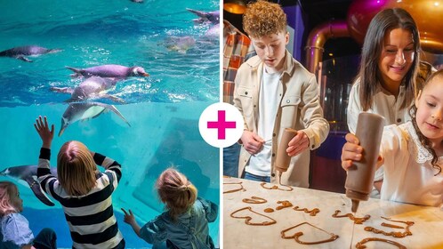 Birmingham: Cadbury World y SEA LIFE Birmingham