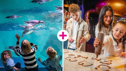 Birmingham Cadbury World y SEA LIFE Birmingham