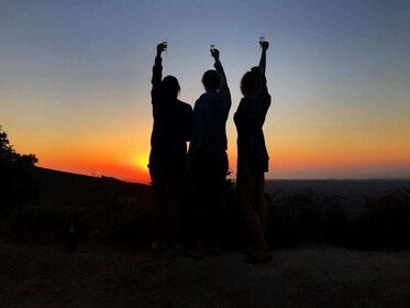 Excursión nocturna en 4x4 por las Colinas de Monchique con cena