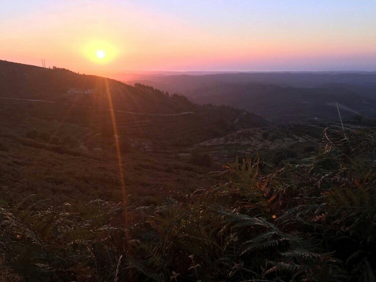 Evening 4x4 Tour of Monchique Hills with Dinner