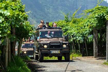 Madeira 4x4 Tour und Weinverkostung