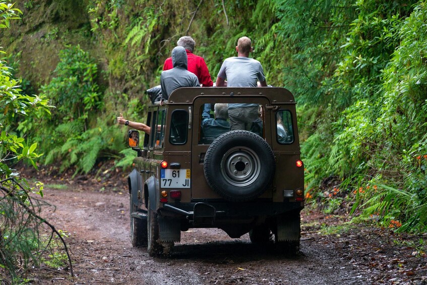 Madeira 4x4 Tour and Wine Tasting Experience