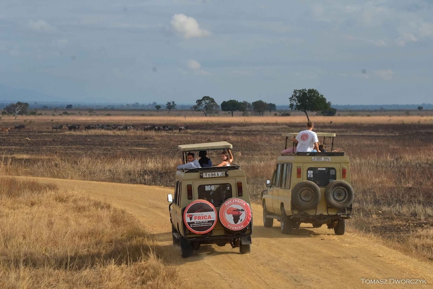 Picture 2 for Activity From Zanzibar: day Safari to Mikumi National Park