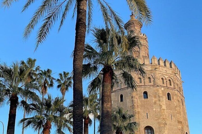 Andalusia in 5 days from Seville, tours and private transfer