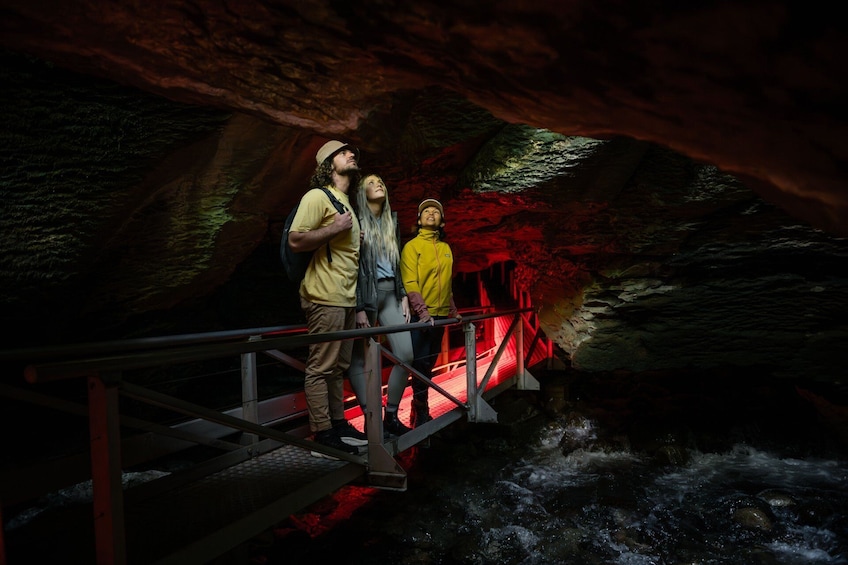 Te Anau Glowworm Caves Guided Tour