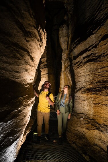 Te Anau Glowworm Caves Guided Tour