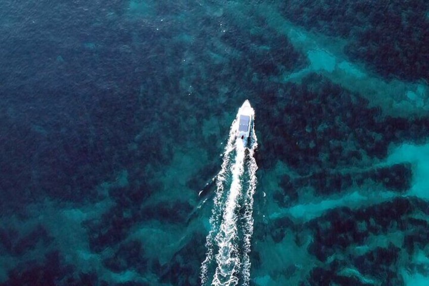 Boat Excursion from the Port of Ciudadela de Menorca