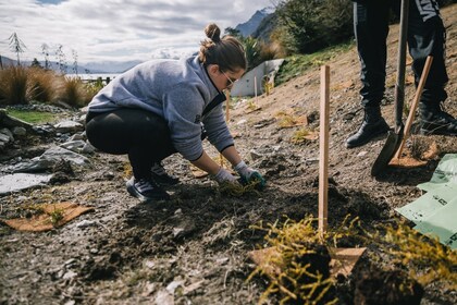 TSS Earnslaw Cruise et Walter Peak Eco Experience