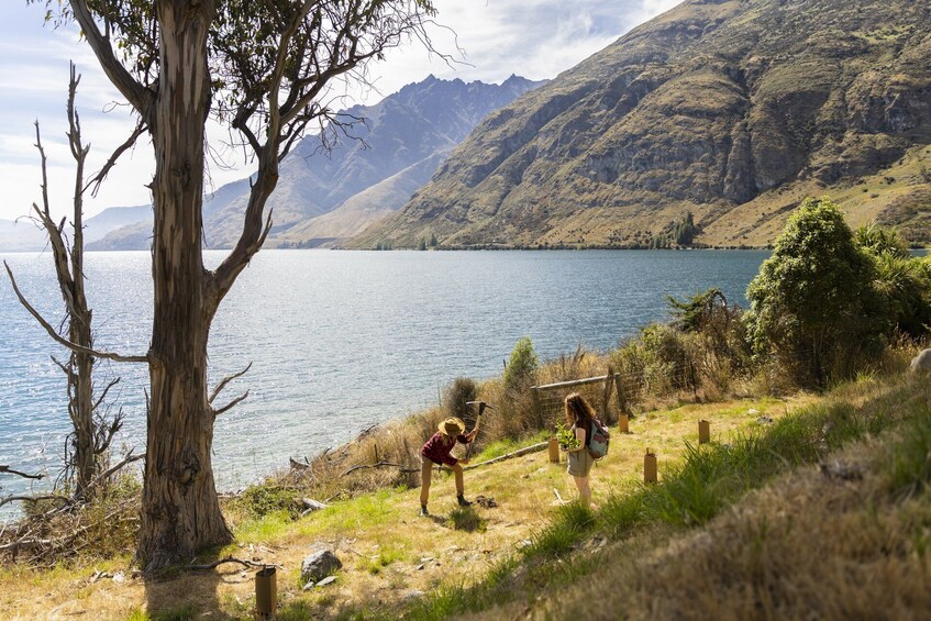 TSS Earnslaw Cruise & Walter Peak Eco Experience