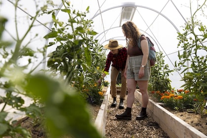 TSS Earnslaw Cruise & Walter Peak Garden to Table Experience