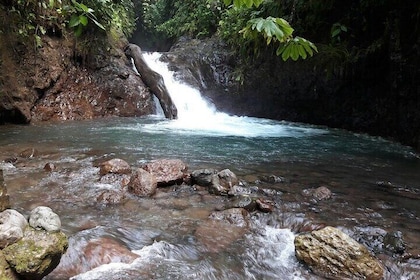 Rainmaker Hike and Hanging Bridges