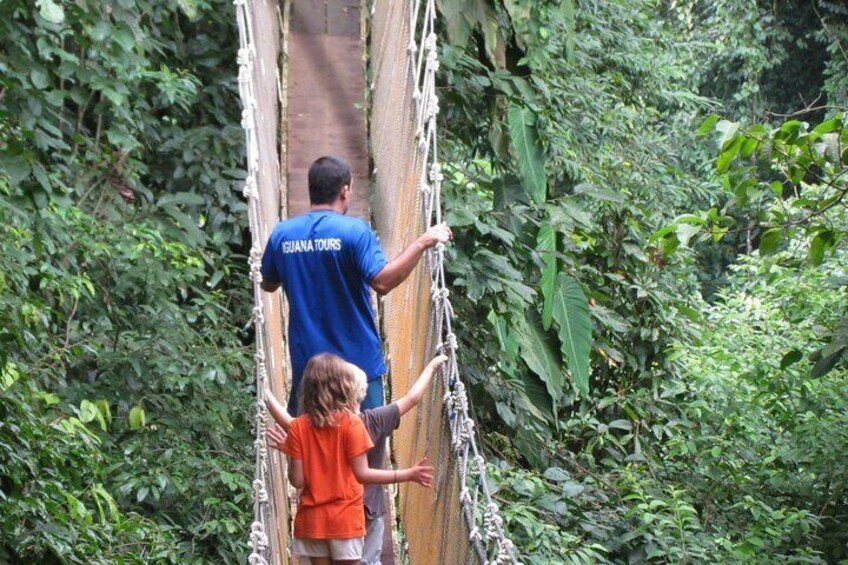 Rainmaker Hike and Hanging Bridges