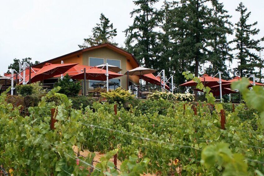 Umpqua Valley Digital Wine Tasting Pass