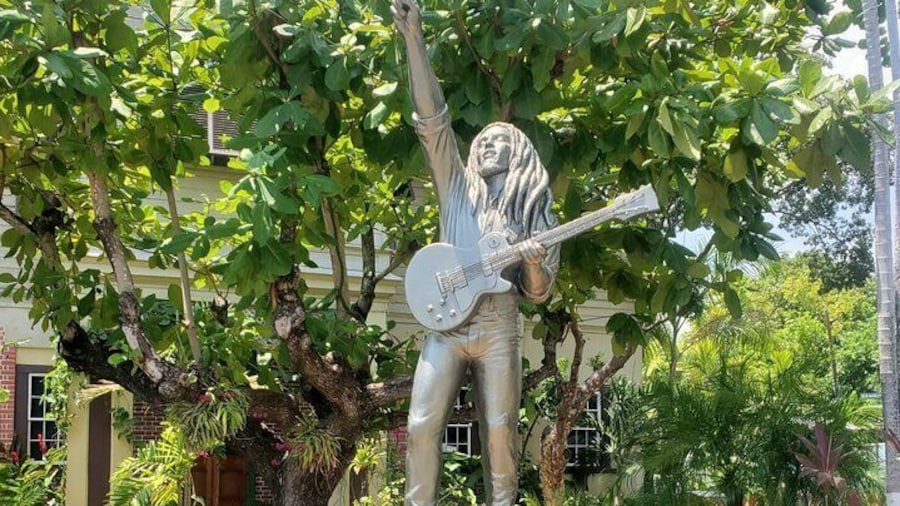 Private Kingston and Bob Marley Museum Tour from Ocho Rios