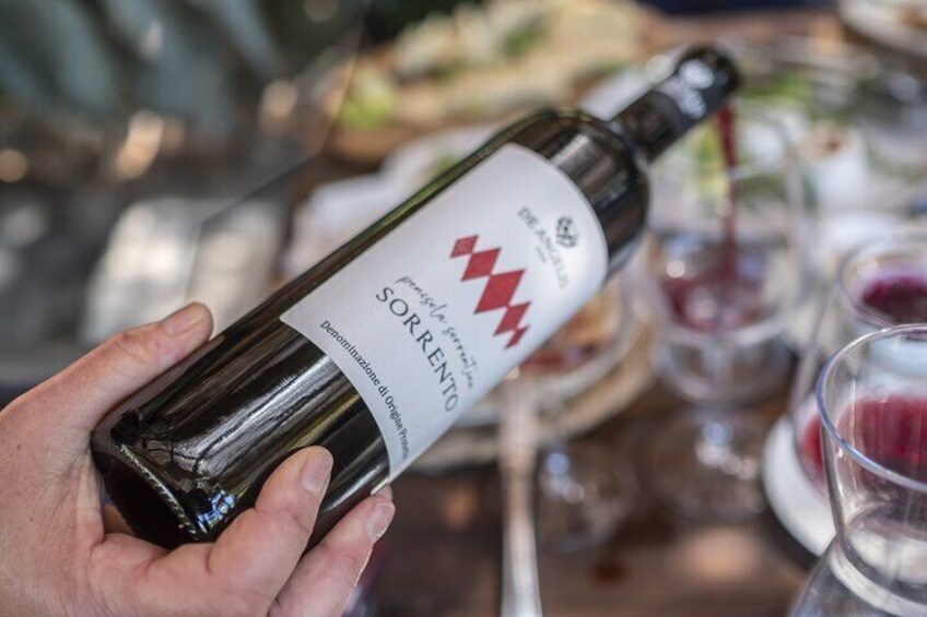 Tasting in the vineyard
