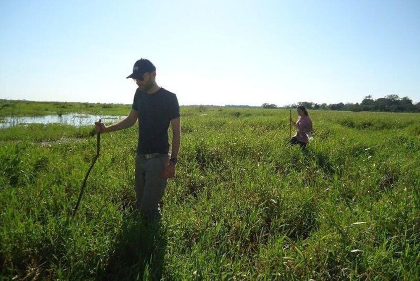 Hike through the Bolivian Amazon Pampas