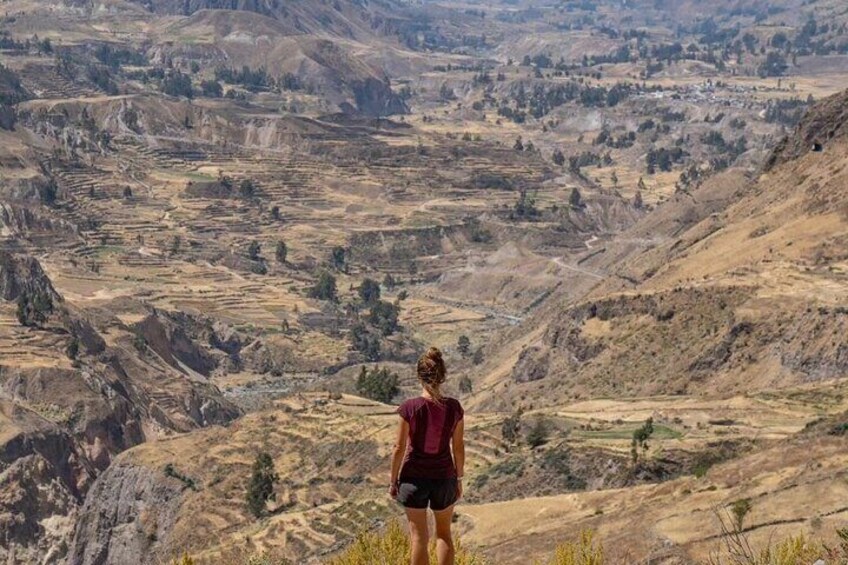 The valley and its terraces.