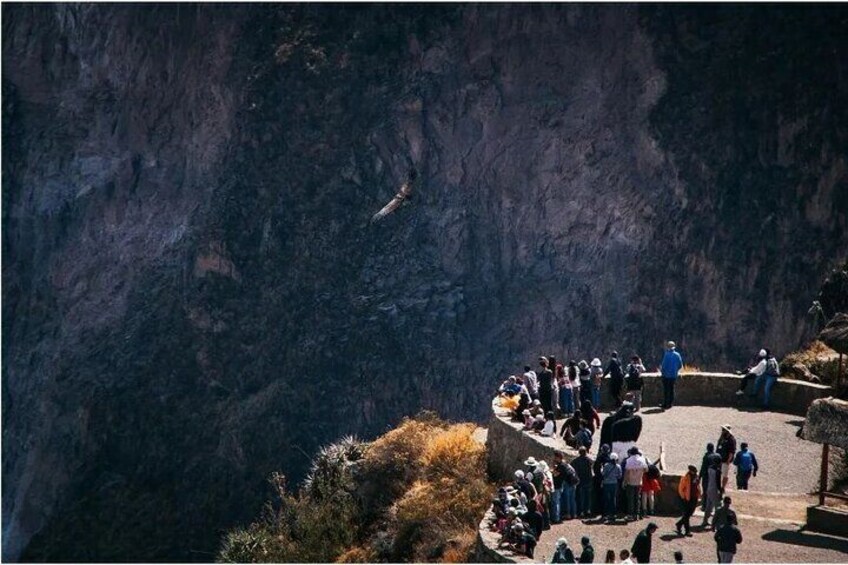 Cruz del Condor Viewpoint: Place to observe the flight of the condors. From March to November you can see many condors.