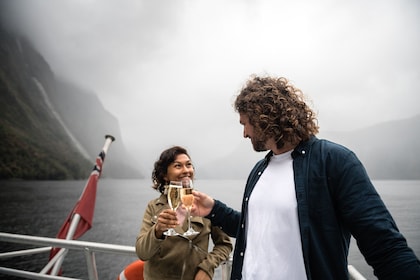 Premium Milford Sound Cruise with Champagne & Lunch