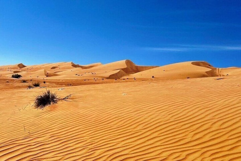 Wahiba Sands Desert Oman