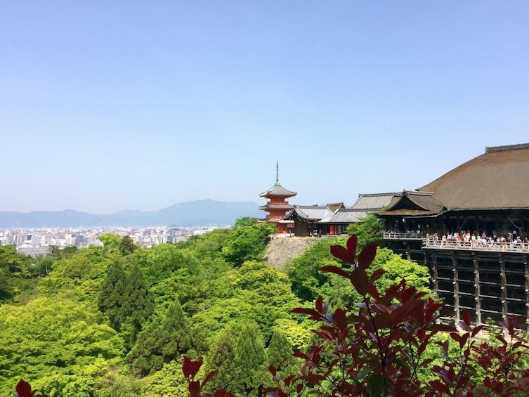 From Osaka/Kyoto: Kyoto UNESCO World Heritage Sites Day Tour
