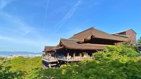 从大阪/京都出发：京都联合国教科文组织世界遗产一日游
