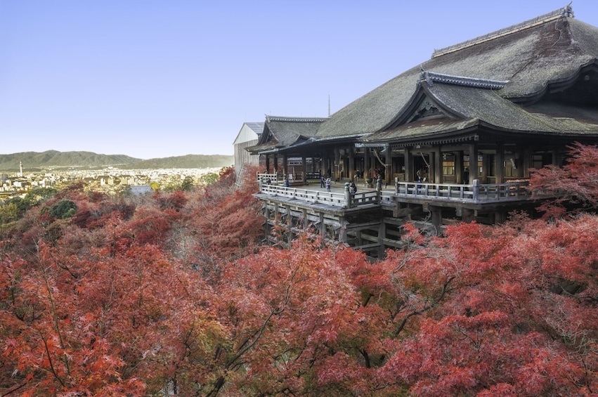 From Osaka/Kyoto: Kyoto UNESCO World Heritage Sites Day Tour