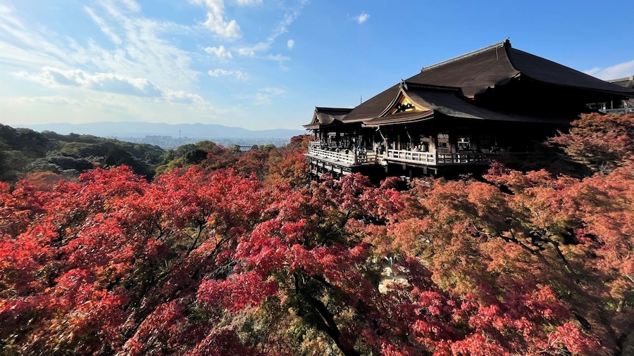 From Osaka/Kyoto: Kyoto UNESCO World Heritage Sites Day Tour