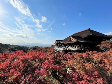From Osaka/Kyoto: Kyoto UNESCO World Heritage Sites Day Tour