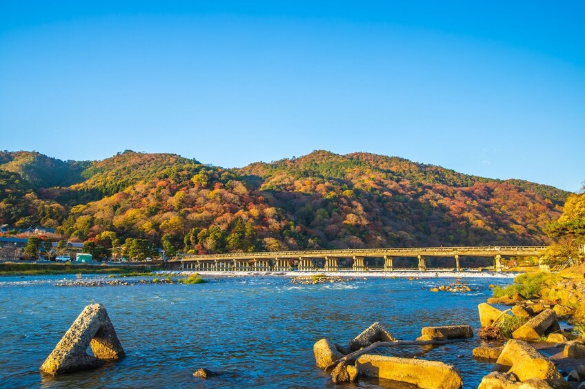 From Osaka/Kyoto: Kyoto UNESCO World Heritage Sites Day Tour