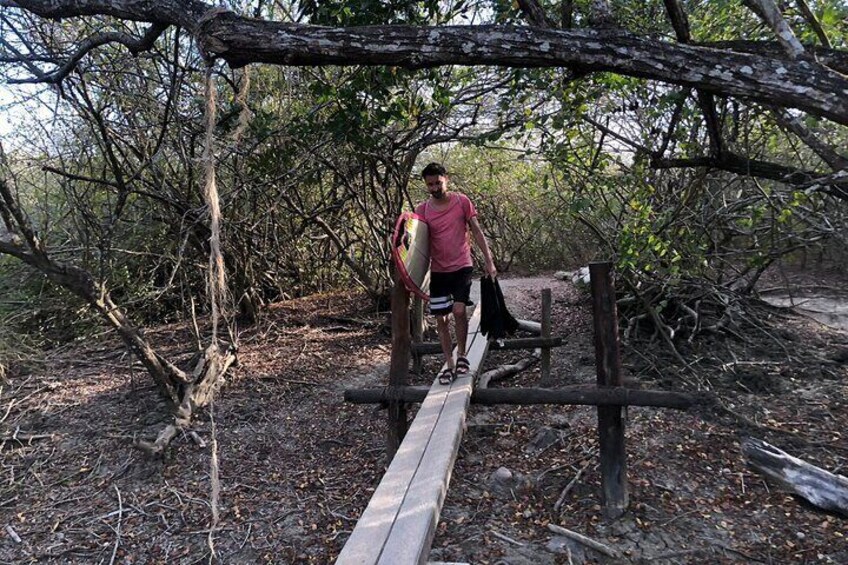 Surf adventure in Punta de Mita