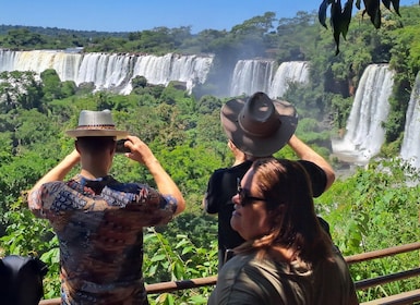 From Foz do Iguaçu: Tour to Argentinian Falls
