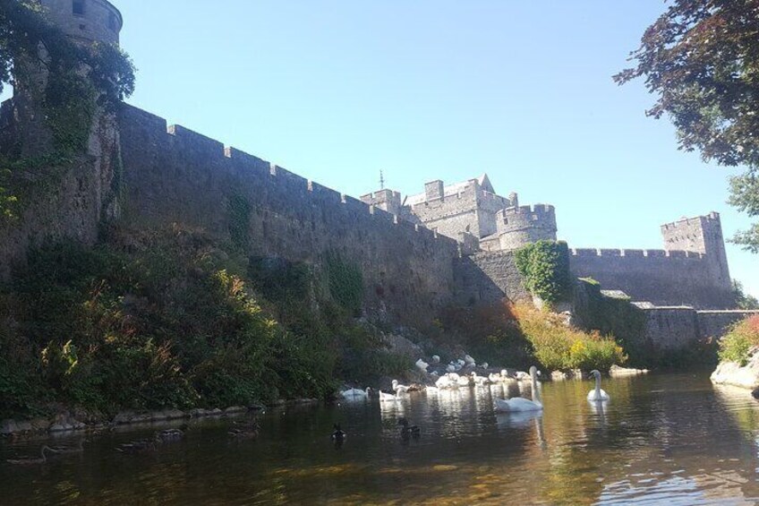 Private Tour Rock of Cashel Hore Abbey and Cahir Castle from Cork