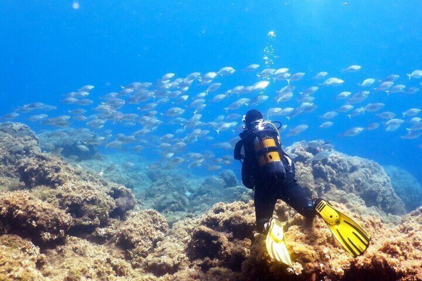 Scuba Diving in Kolymbia