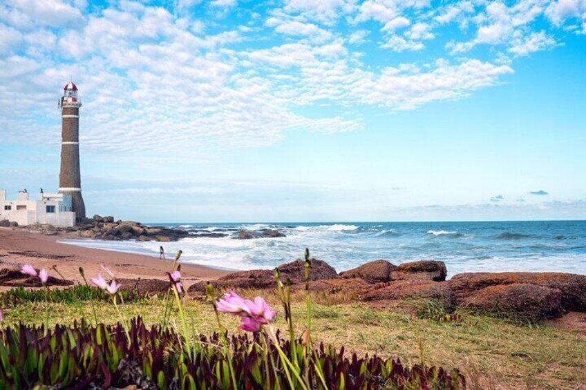 Private Tour Have It Your Way in Punta Del Este