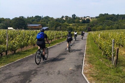 Bordeaux Historic Centre & Vineyards Gravel Bike Tour