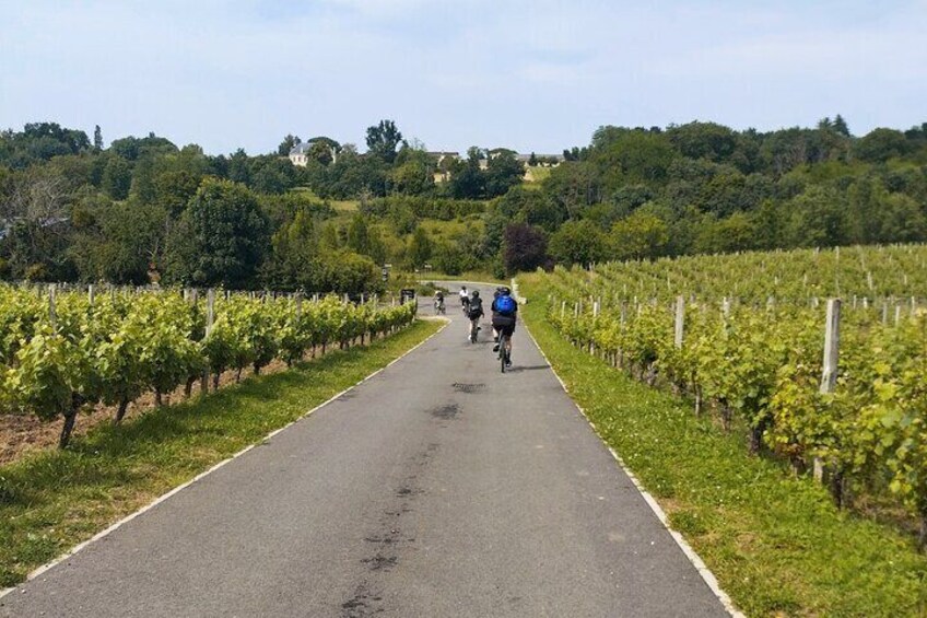 Bordeaux Historic Center & Vineyards Gravel Bike Tour 