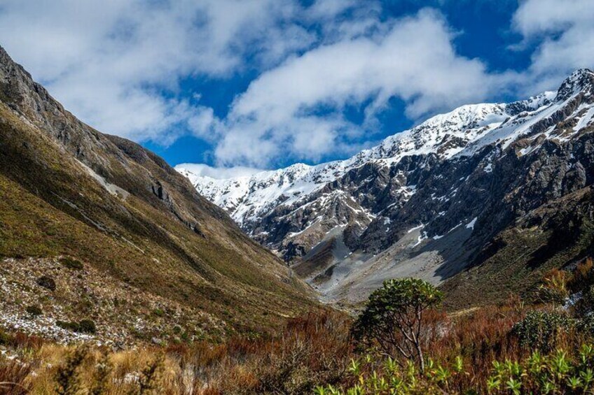 Franz Josef to Christchurch Day Tour (Small Group)