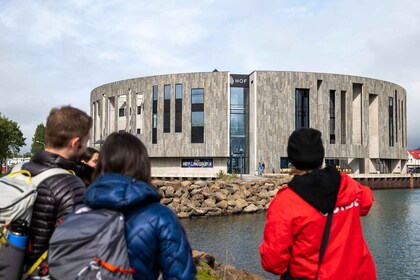 Desde el puerto de Akureyri: paseo por la ciudad y comida local