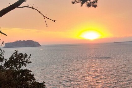 Private Taxi Tour of South Jeju With English Speaking Driver
