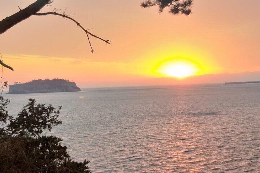 Private Taxi Tour of South Jeju With English Speaking Driver